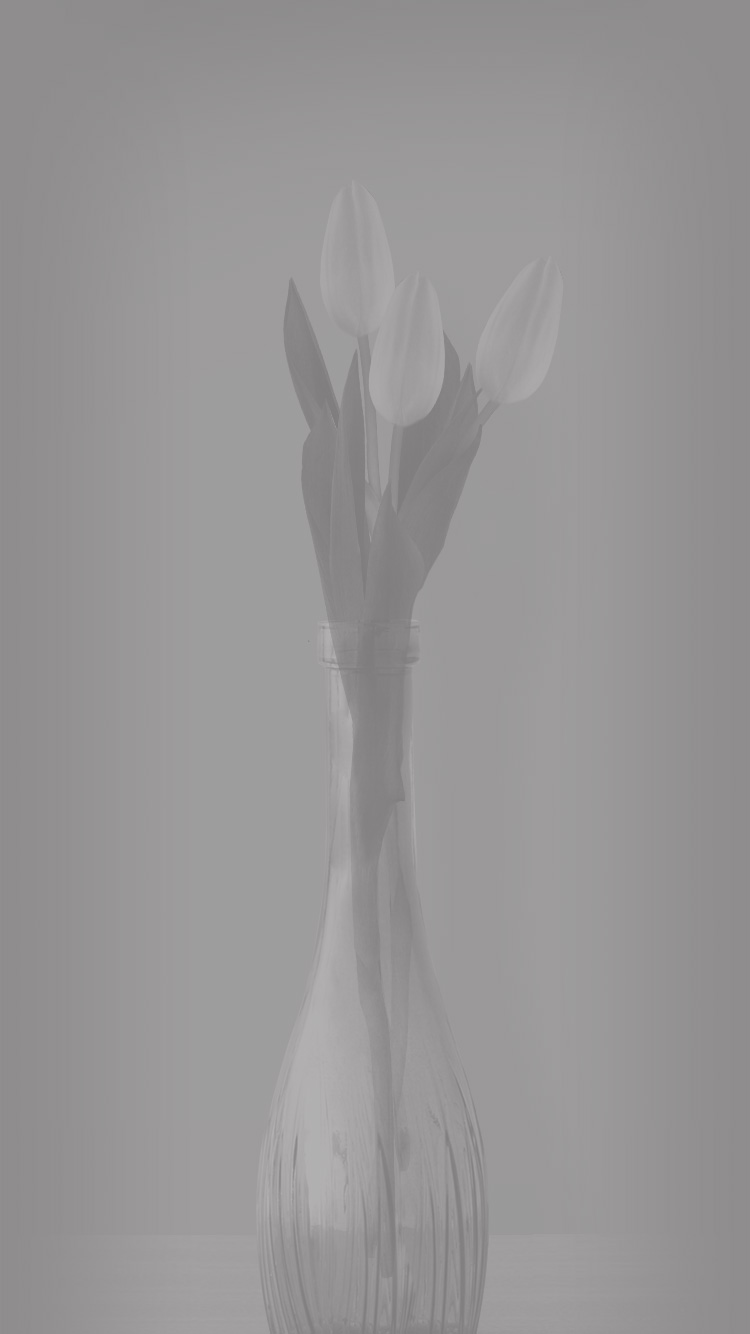 bg02.jpg
